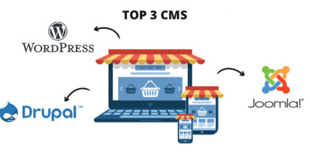 Ingenious Netsoft: Top-3-CMS