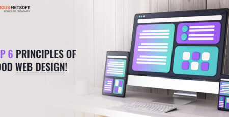 Ingenious Netsoft: Top-6-Principles-Of-Good-Web-Design