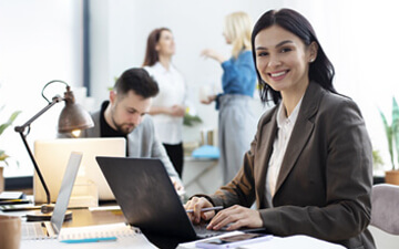 Ingenious Netsoft: our-story