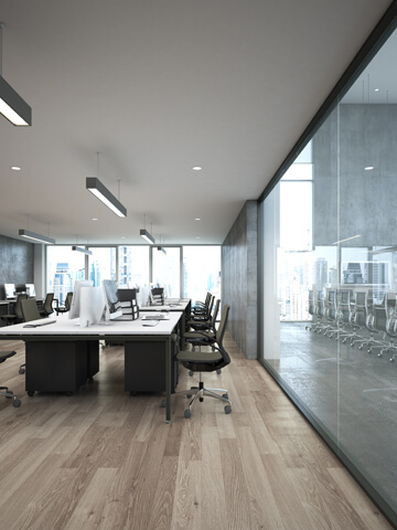 Ingenious Netsoft: our-story