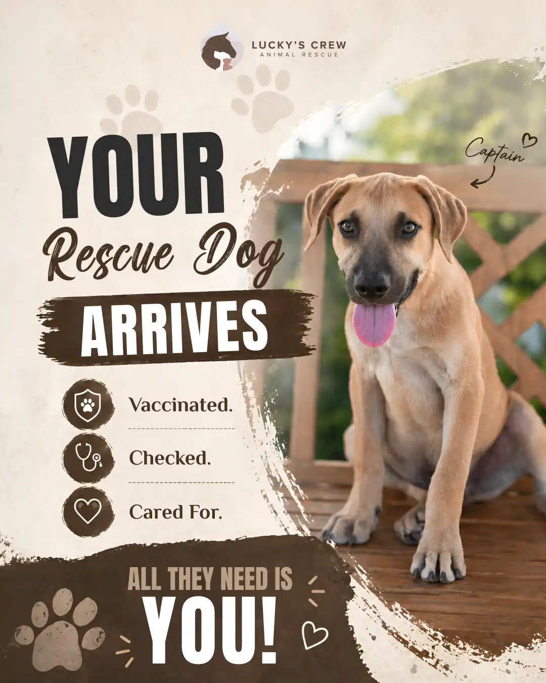 Luckys Crew Animal Rescue Adoption Social Media Post – Ingenious Netsoft Portfolio Luckys Crew Animal Rescue Your Rescue Dog Arrives Vaccinated Checked Cared For Social Media Post Design – Ingenious Netsoft Portfolio