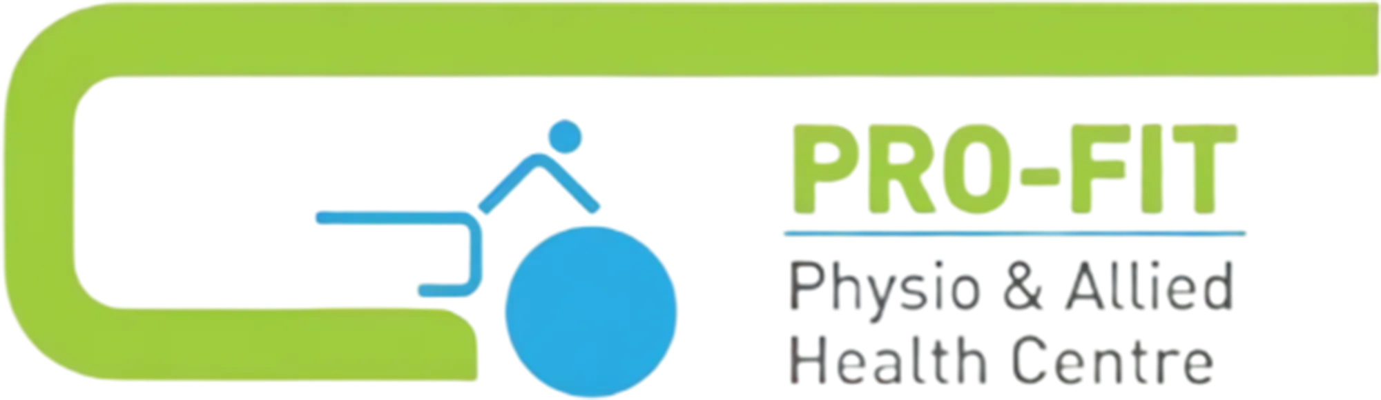 Pro Fit Logo Pro Fit Logo