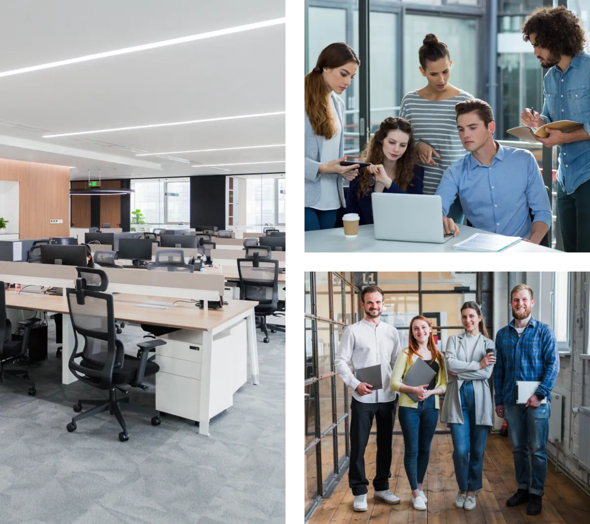 Ingenious Netsoft Team – Global IT Services and Digital Solutions Company in India Ingenious Netsoft Team – Global IT Services and Digital Solutions Company in India